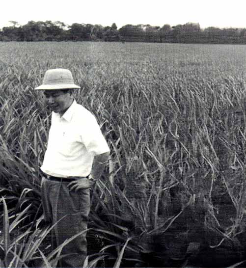 萬国貿易株式会社