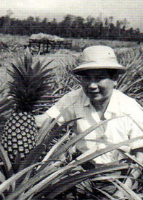 萬国貿易株式会社